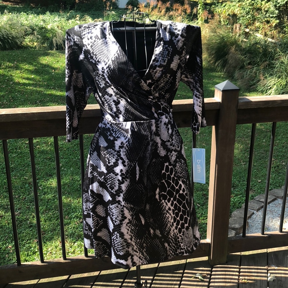 B-Slim NY Collection Dress